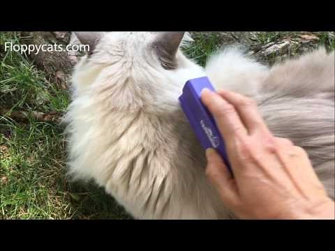 Cat Deshedding Tool Review: EquiGroomer Grooming Tool for Pets Product Review - Floppycats