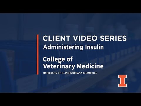Administering Insulin for Cats and Dogs