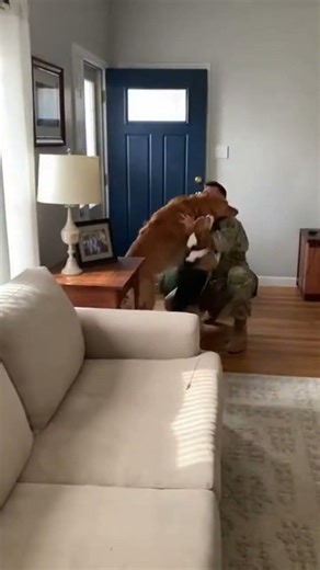 🐕 Two dogs hear the door open. Then they see who walked in