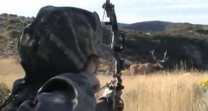 Watch 100 Archery Kills in 14 Minutes