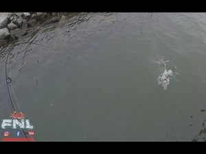 HMB Pier Fishing - I CAUGHT A LING