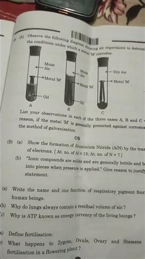 class 10th CBSE science question paper