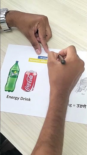 1 मिनिट मे Concept याद 🤩evolution class 12 biology | 12th standard biology