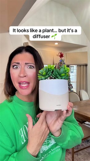 Cutest little diffuser EVER 😍 It looks just like a real succulent, comes in three designs, and one charge lasts up to 20 days! Perfect for bedrooms, bathrooms, offices — anywhere you want to smell amazing without a flame or mess. Such a cute gift or stocking stuffer for anyone who loves plants 🌿💚 Linked in my TikTok Shop — grab yours before they sell out! #SucculentDiffuser #HomeFragrance #GiftIdeas2025 #TikTokMadeMeBuyIt #HomeDecorFinds