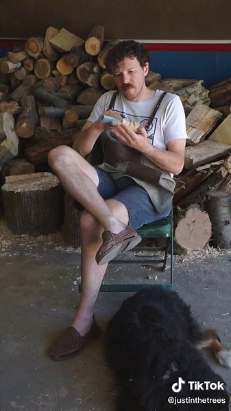 get to know a native tree: Scotland’s scots pine #trees #tiktokpartner #tiktoktaughtme #woodworking #scotland #treemap