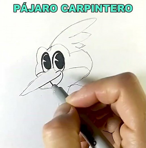 Dibujamos y Coloreamos al Pájaro Carpintero de Toy Cantando | Dibujos para niños