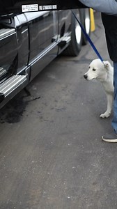 Join ATS as a CDL-A company dry van driver on OTR runs and get home every two weeks! • $0.60 - $0.62 CPM starting pay based on experience • Dry van freight • No-touch or drop-and-hook freight • Guaranteed home time every two weeks when requested • $1,000 orientation completion bonus • No-cost per diem • Consistent miles • Pet policy • Medical/dental/vision/life/disability insurance • 401(k) plan • Flexible spending accounts • Employee assistance program Become the company driver you want to be a