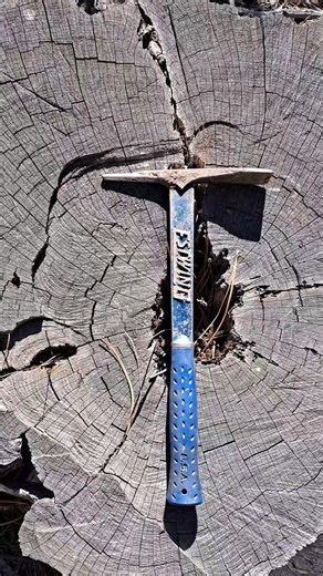 400 plus year old juniper tree stump #nature #dogs #mountains #youtubeshorts #estwing #burpeepick