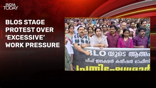 Is there immense workload on BLOs as they conduct SIR exercise? Experts debate