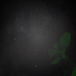 Daydream Believer   デイドリームビリーバー | Smule