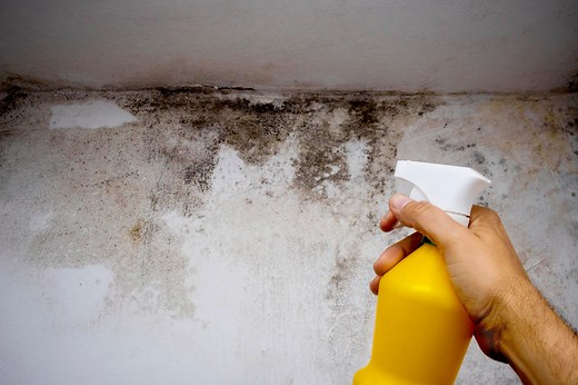 The #1 Way to Remove Mold From Any Surface in Your Home