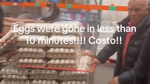 Shoppers scramble to stockpile eggs in Costco as shortage intensifies