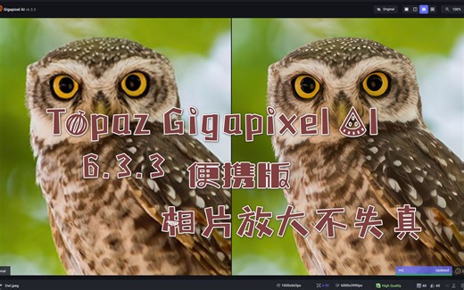 Topaz Gigapixel AI 8.3.2 +全新21GB模型（图像增强放大） 便携版（不定期更新版本）