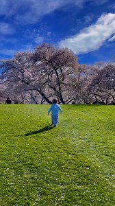 ✨Spring has arrived in New Zealand, and the blossoms are painting our streets, gardens, and parks in soft pinks and whites. From cherry trees in full bloom to magnolias bursting with colour, it’s the season of fresh beginnings. Nothing says kiwi spring quite like a walk under a canopy of petals! 🌸#NewZealand #NZSpring #SpringVibes #NZBlossom #NatureLovers #DiscoverNZ #SpringMagic #SouthIslandNZ #ExploreNZ #HiddenGemsNZ | New Zealand Brand