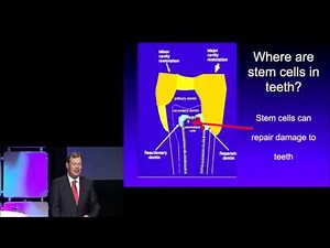 Sample - Generation of Teeth Using Stem Cells