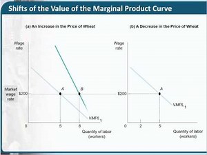 Chapter 19 Factor Markets and Distribution of Income