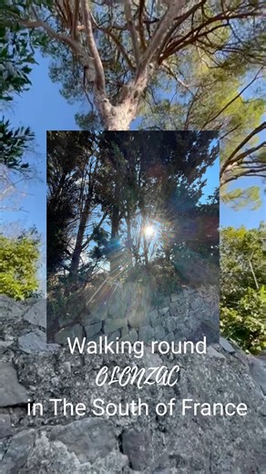 ✨🥰✨ Walking the edges of Olonzac in the heart of Languedoc, where ancient vines stretch endlessly under the southern French sun. This little village sits surrounded by some of the oldest wine producing land in France, with vineyards that have been cultivated since Roman times. The Minervois appellation begins right here, producing robust reds from Syrah, Grenache and Carignan grapes that thrive in this Mediterranean climate. Every path around Olonzac tells the story of generations of vignerons 