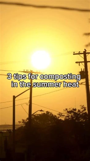 ☀️ Composting in the heat? Here’s how to keep it cool. 😎 Hot weather can turn your bin into a stinky mess, but it doesn’t have to. Here are 3 quick tips to beat the summer heat: ✅ Keep your bin in the shade or indoors to keep out flies/bugs. ✅ Add more carbon (paper bags, leaves, shredded cardboard and pizza boxes). ✅ Freeze your scraps until pickup day Stay cool, keep composting. 🧊🌱 #SummerComposting #CompostTips #SustainableLiving #HomeCompost #EcoHacks #CompostSmarter | Circle Compost