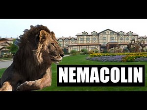 Exploring the Wonders of Nemacolin Woodlands Zoo: A Fun-Filled Visit!