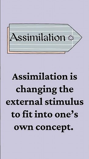 Assimilation and Accommodation