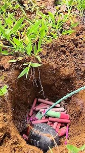 Firecracker 🧨 POWER TEST #shorts #cracker #fireworks #shortvideo #shorts | Viral Spiffy