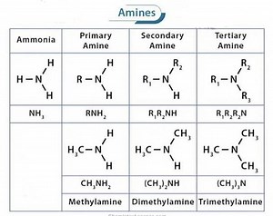 36K views · 330 reactions | Amines classification | Chemistry Help | Facebook
