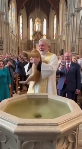 Cat’s Baptism Turns Into a Splashy Escape! 🐾