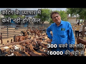 ₹6000@How to start goat/farming |(@India’s largest goat farming)@Shree goat farm