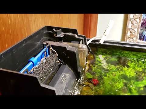 Air Stone In My HOB Filter ?