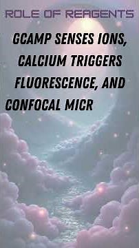 Live Cell Calcium Imaging