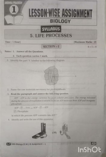 10th class Biology lesson1 Life process important questions