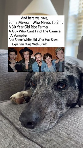 noo 💀💀 #harrystyles #louistomlinson #liampayne #niallhoran #zaynmalik #onedirection #1D #onedirectiontiktok #ot5 #directioner #directionerforever #directioner4ever #directioneralways #directioners4life