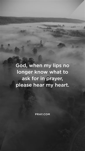 70K views · 5.4K reactions | When words fail, God hears the prayers...