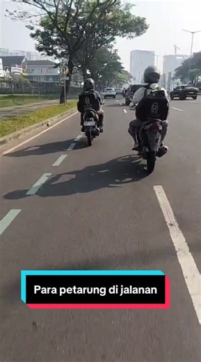 Grevin Pet Grooming on TikTok