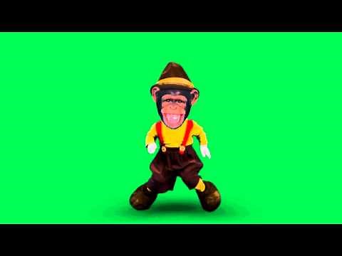 FREE Green Screen Dancing Monkeys 04 HD