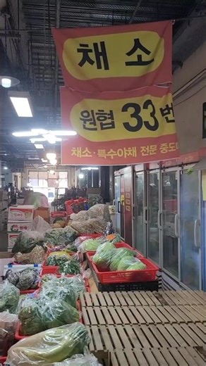 오늘 장보기 영상은 내서 중리 야채 특수야채 도매 소매 중도매인 : 창원 농산물 도매 시장 - 원협 33번 상회 : 영상 보시고 오셨다고 하시면 더 저렴해요