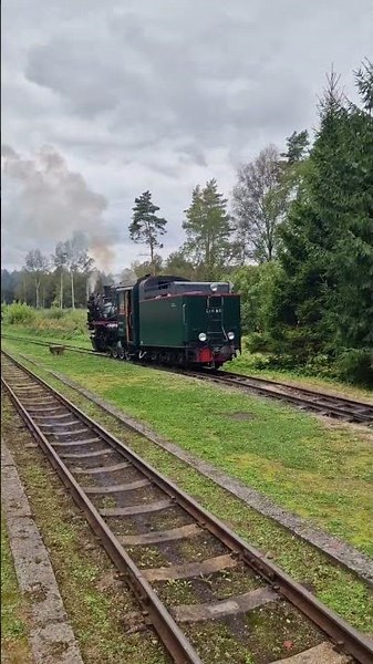 1 September 2025 #steampunk #tankengine #train