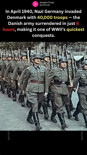 WWII_s Fastest Invasion_ Denmark 1940 ⚔️ #viral #ww2