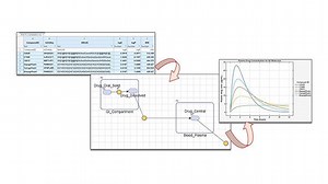 Bioavailability Simulation of Drug-Like Molecules