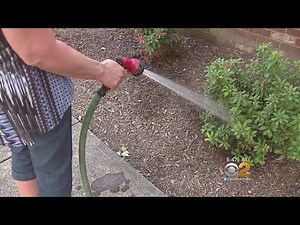 Simple Tips To Help Prevent Frost Damage To Your Plants