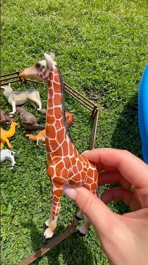 Discovering Zoo Animals Toys Outside: Giraffe, Rino, Elephant, Lion, Tiger, Zebra, Wolf 🐺 Camel 🐫