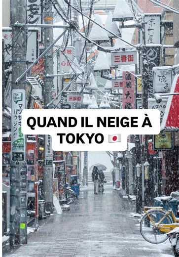 C’est juste magnifique ❤️ #japon #japania #neige #tokyo