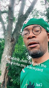 5.8K views · 73 reactions | A rabbit fell out the sky into my backyard! It’s a First time for everything I Guess 勞#firsttimeforeverything #bunny #birdsofprey | Rice Dee | Facebook
