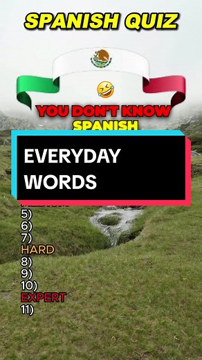 Test Your Spanish Vocabulary with this Fun Quiz!