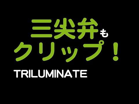 【ストラクチャ】三尖弁クリップ [TRILUMINATE]