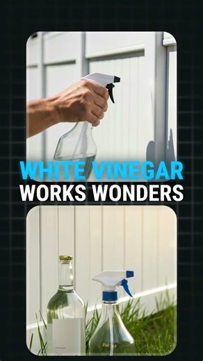 Vinyl Fence Maintenance: What You Actually Need to Do