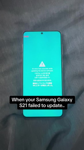 Samsung Galaxy S21 Software Update Issues