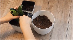 Self Watering Planters for Indoor Plants 5 inch 3 Pack Grey Planter with Water Level Indicator African Violet pots