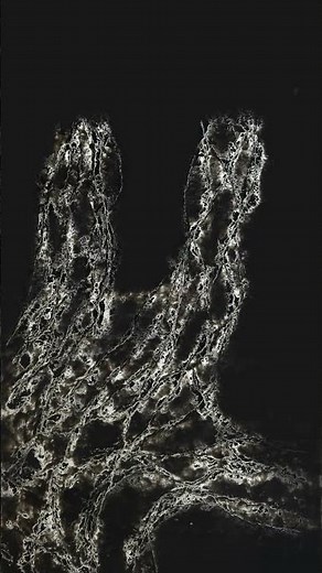 Atelier™: The Disruptive Tool That Transforms Creativity