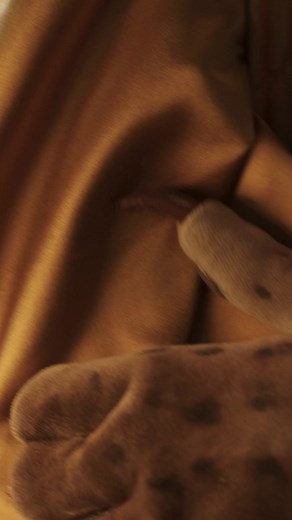 Masked Singer Sverige på TikTok